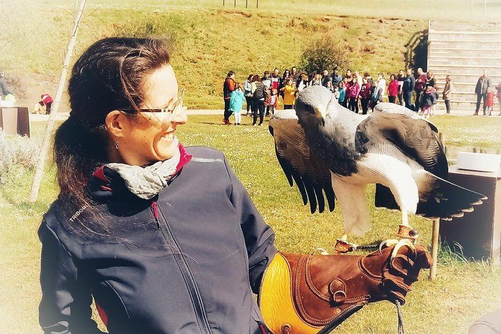 Cabarceno Natural Park Visit