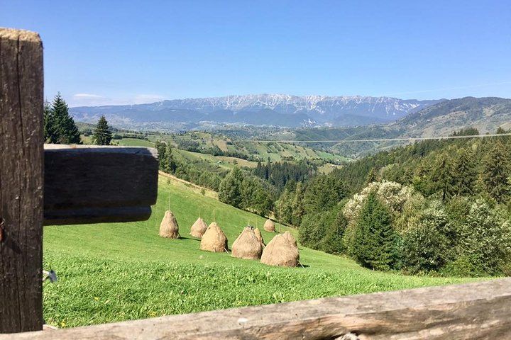 PRIVATE Day Hike on rollings hills near Bran Castle, through mountain villages, Brasov