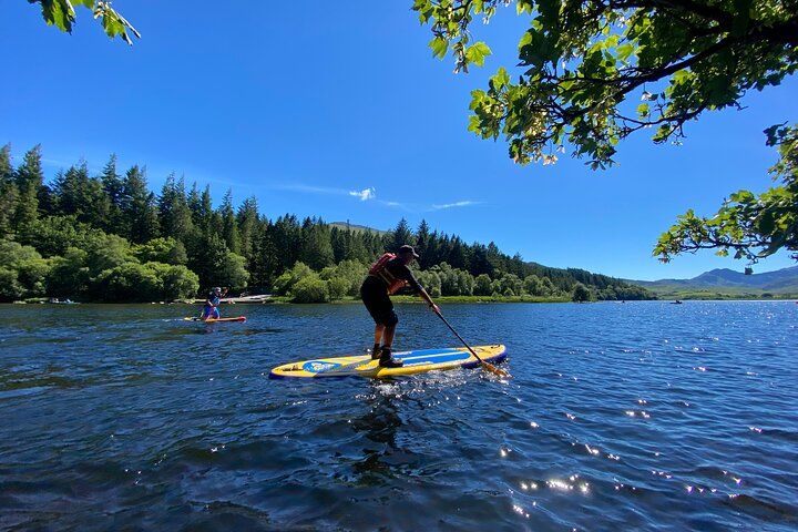 Half day Paddleboarding exploration on the Dart