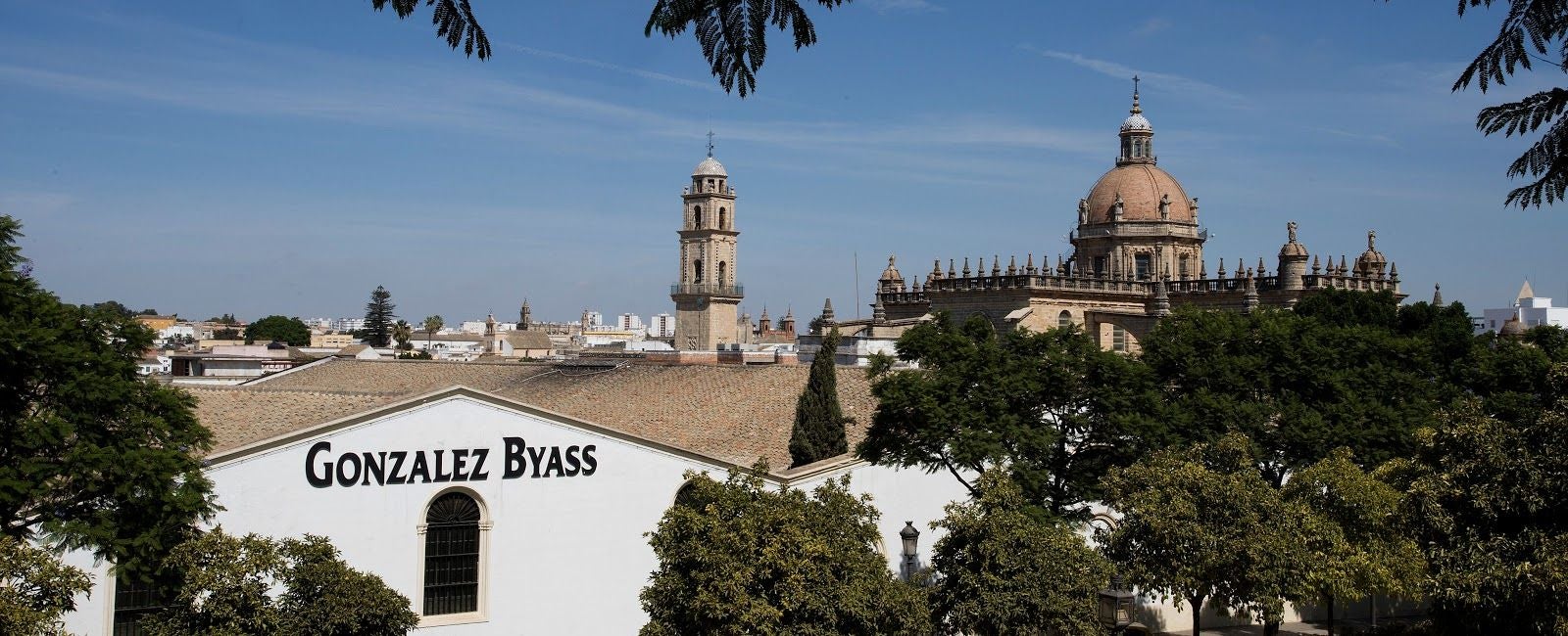 Gonzalez Byass, Jerez, Campiña de Jerez, Cádiz, Andalusia, Spain