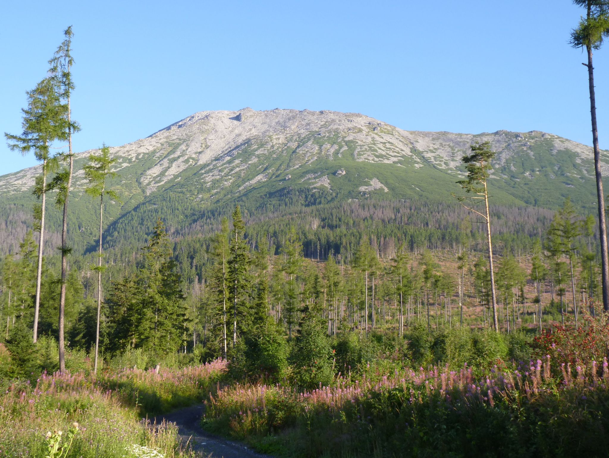 Slavkovská dolina, Starý Smokovec, Vysoké Tatry, District of Poprad, Region of Prešov, Eastern Slovakia, Slovakia