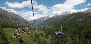 Zermatt to Glacier Paradise Small Group Half-Day Trip