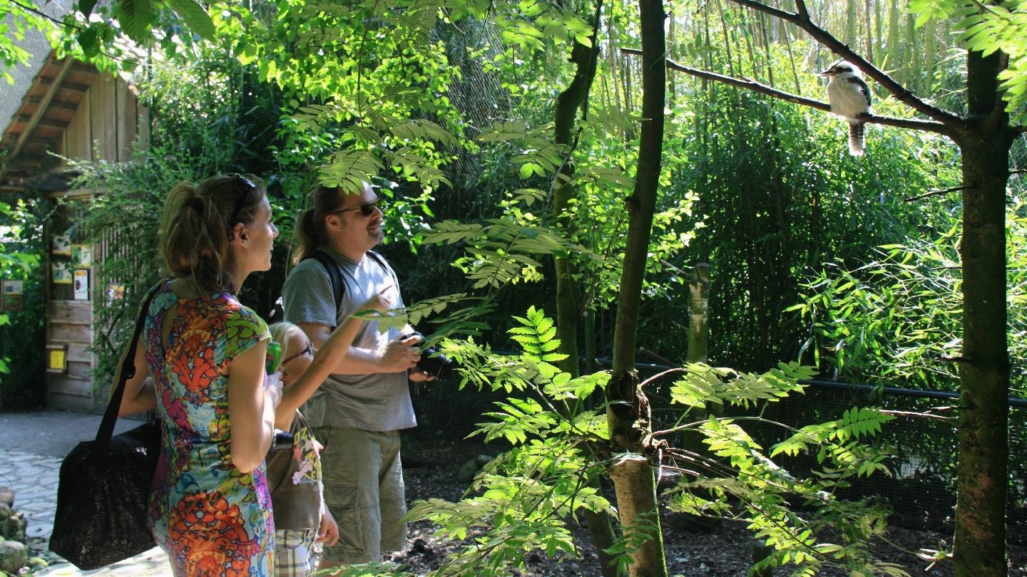 Taman Indonesia Zoo, Kallenkote, Steenwijkerland, Overijssel, Netherlands
