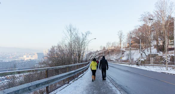 Ekebergparken in winter and sunset