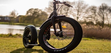 2-Hours Private E-Step Tour in Nijmegen