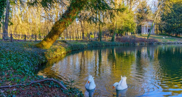 Photo of pond, temple, and geese in the Monza Park, on a clear winter day, Monza, Lombardy, Northern Italy.