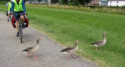 Berlin to Copenhagen by Bike