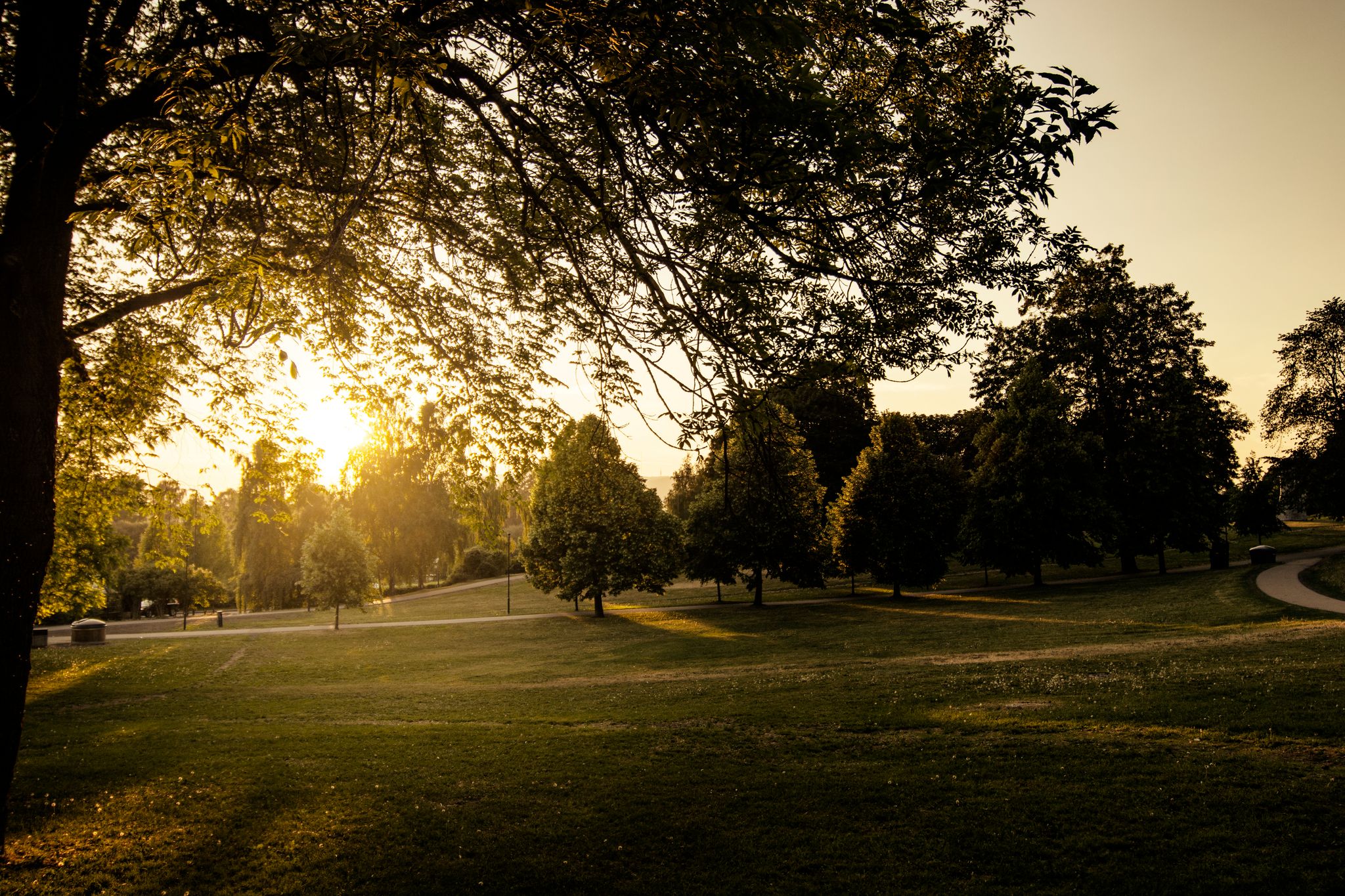 Sunset at Tøyen park in Oslo,Norway.