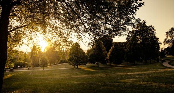 Sunset at Tøyen park in Oslo,Norway.