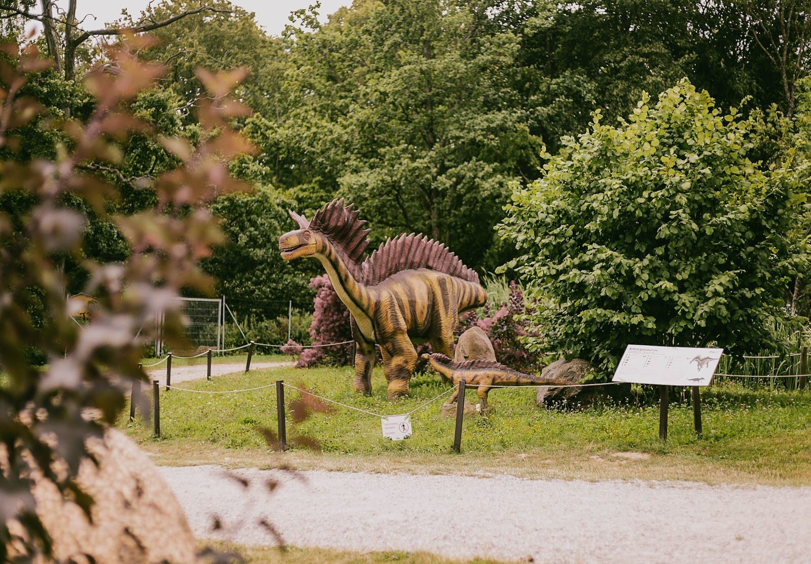 DINO PARKAS - pramogų ir dinozaurų parkas Dino.lt Radailiai, Radailiai, Sendvario seniūnija, Klaipėda District Municipality, Klaipeda County, Lithuania