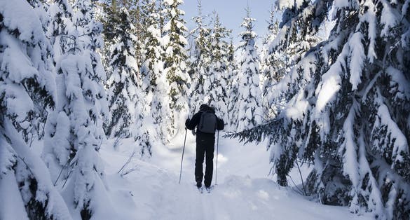 Photo of Skiing in Oslo.