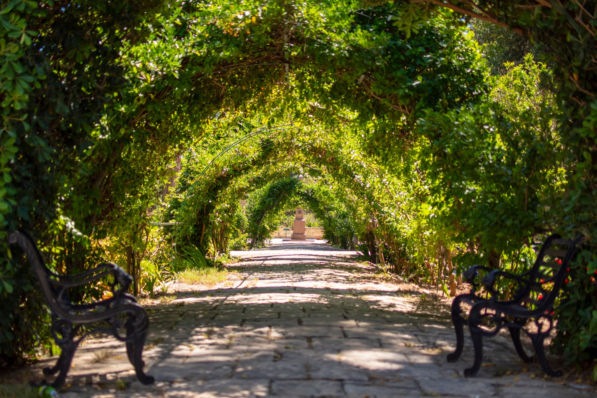 Photo of San Anton Gardens also known as the President's Gardens, in Attard, Malta.