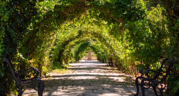 Photo of San Anton Gardens also known as the President's Gardens, in Attard, Malta.