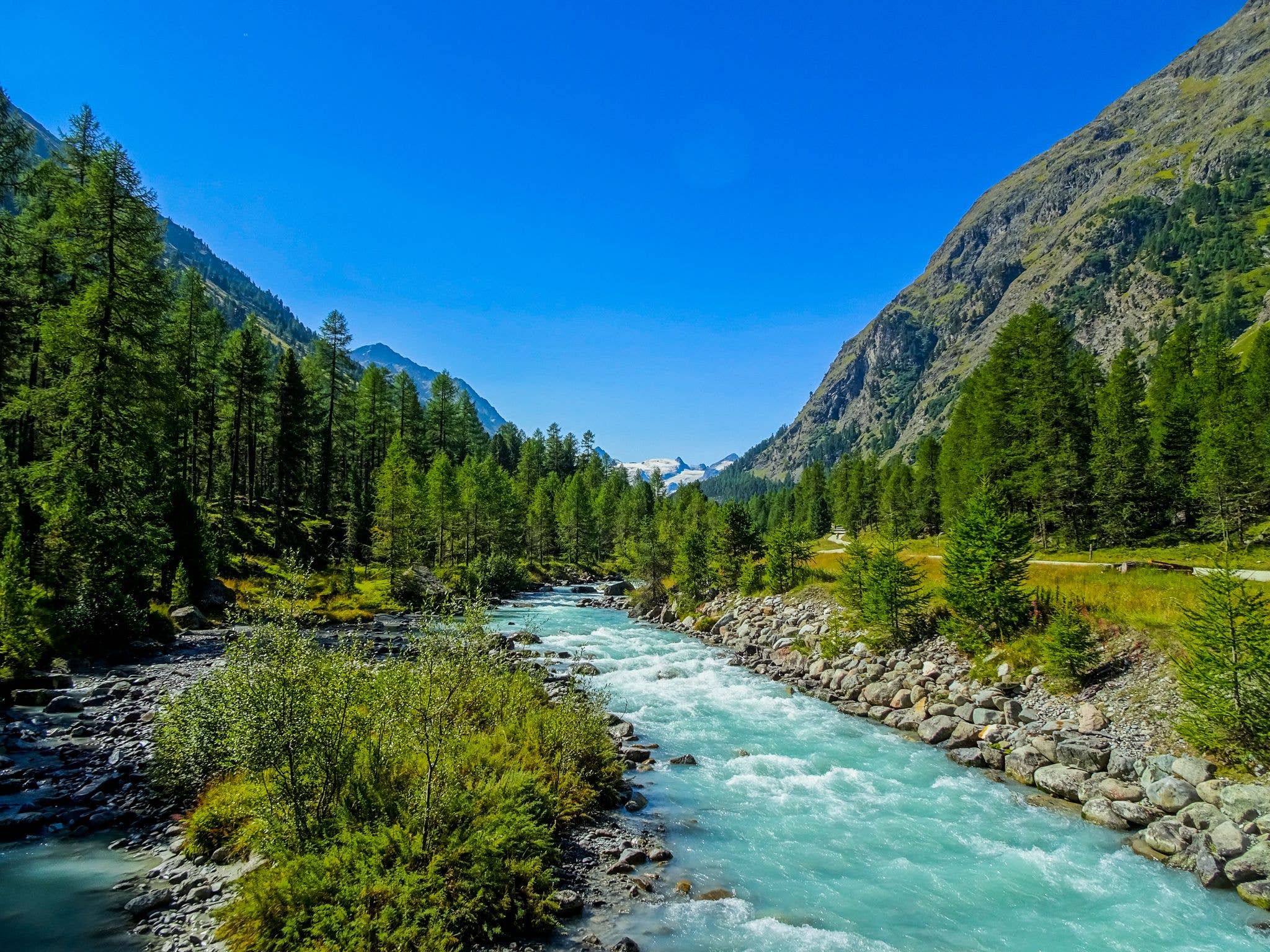 Pontresina experiencias de aprendizaje