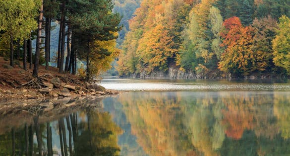 photo of view of Europe, Romania. Maramures County. Baia Mare. Firiza. Lake Firiza. Fall color.