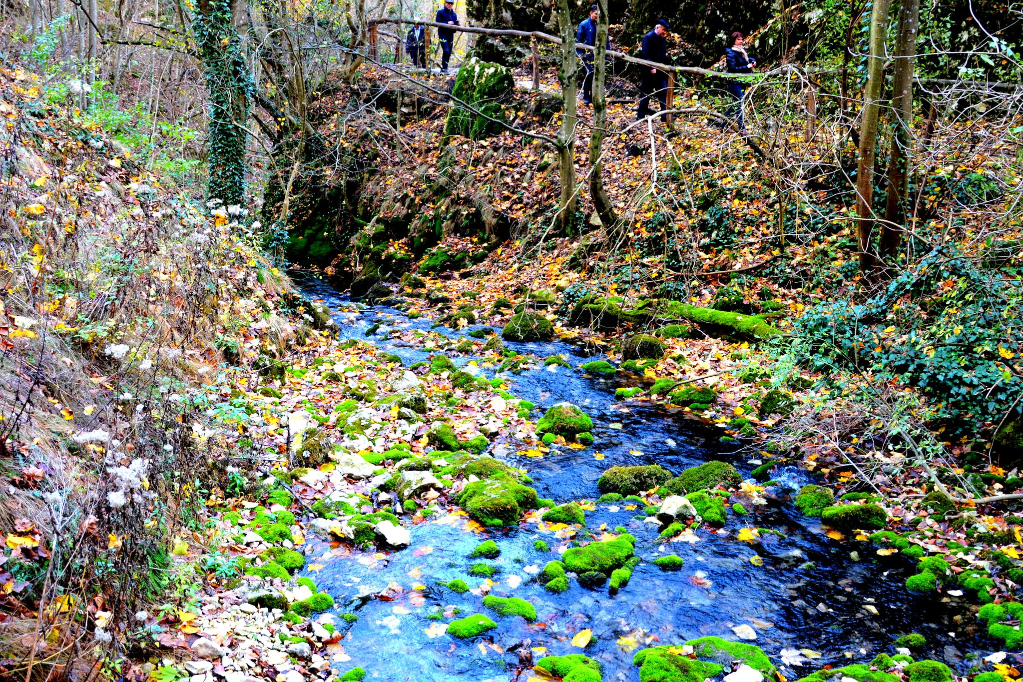 Photo of Autumn landscape in Banat Mountains. Bigar waterfall. Izvorul Bigarului, Transylvania, Romania .