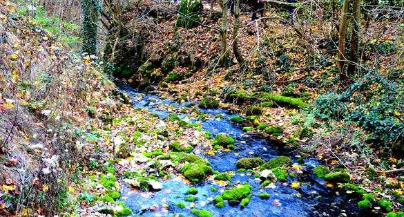 Photo of Autumn landscape in Banat Mountains. Bigar waterfall. Izvorul Bigarului, Transylvania, Romania .