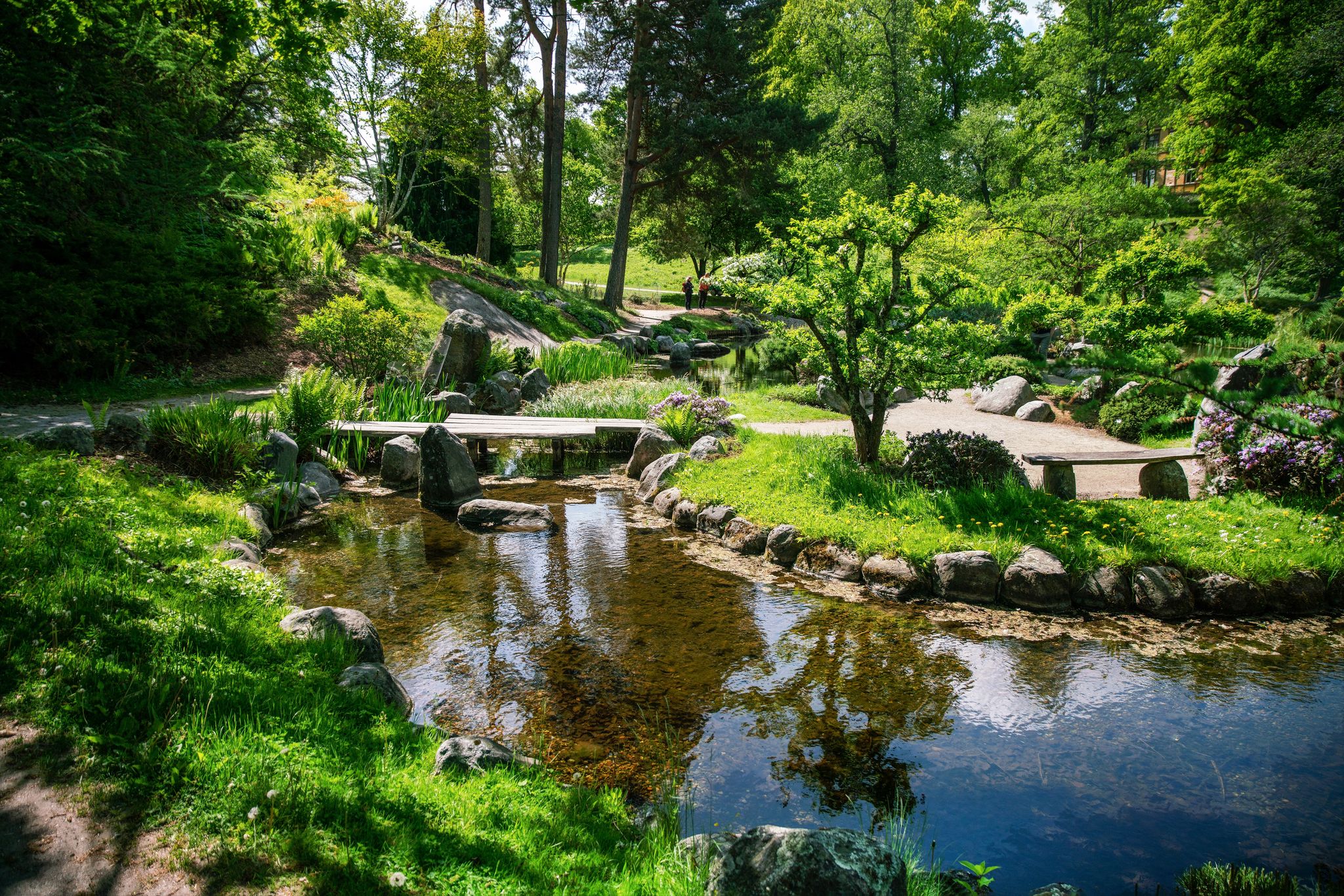 photo of amazing Japanese pond with wooden bridge in the Bergian botanic garden of Stockholm, Sweden.