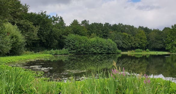 photo of Parc des Gayeulles in Rennes, France.