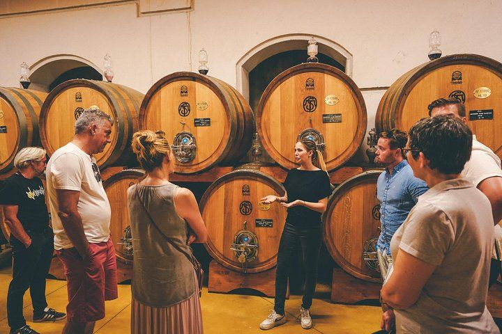 Valpolicella and Amarone Wine-tasting Tour from Verona
