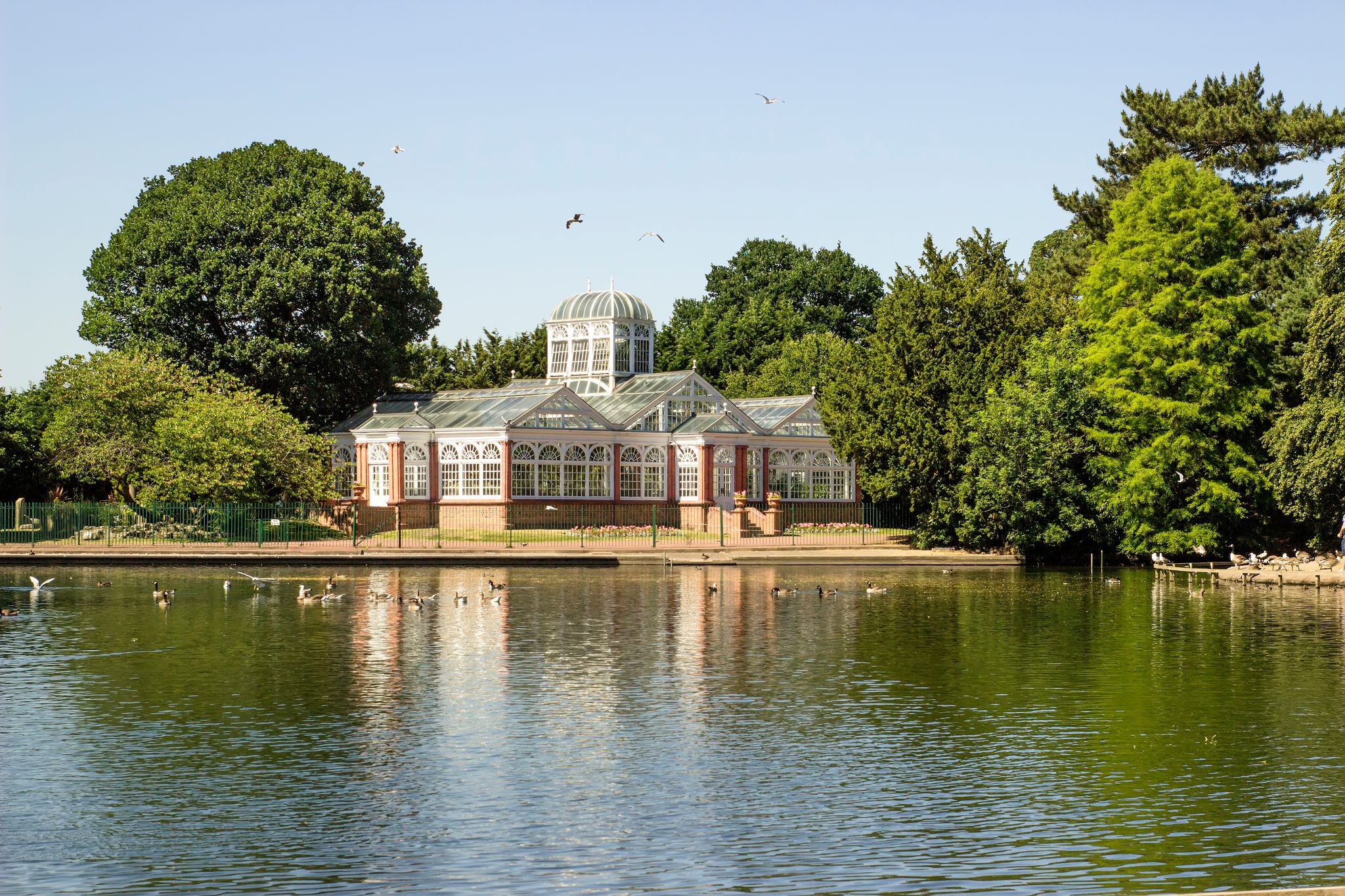 Photo of West Park in Wolverhampton, England. Beautiful view of lake, trees and Conservatory.