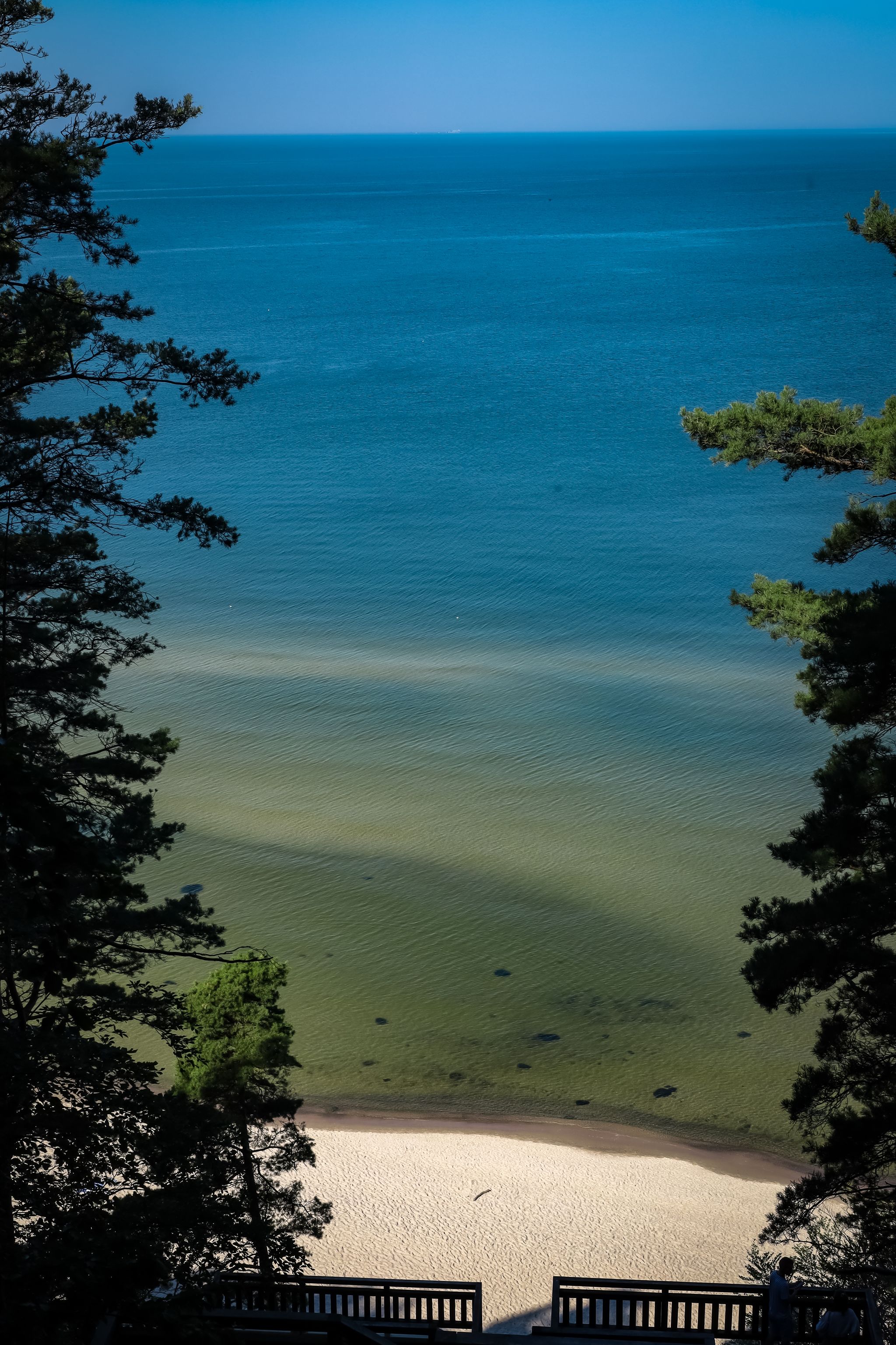 An empty beach with turquoise sea water and golden sand, surrounded with pine trees. Kawcza Góra, Baltic Sea, Poland.