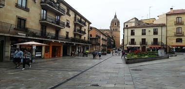 Salamanca Like a Local: Customized Private Tour