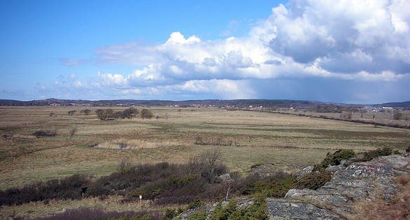 photo of Getterön Nature Reserve in Varberg, Sweden.