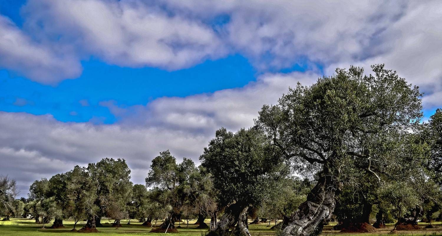 Discover Matera and Taste of Salento Tour