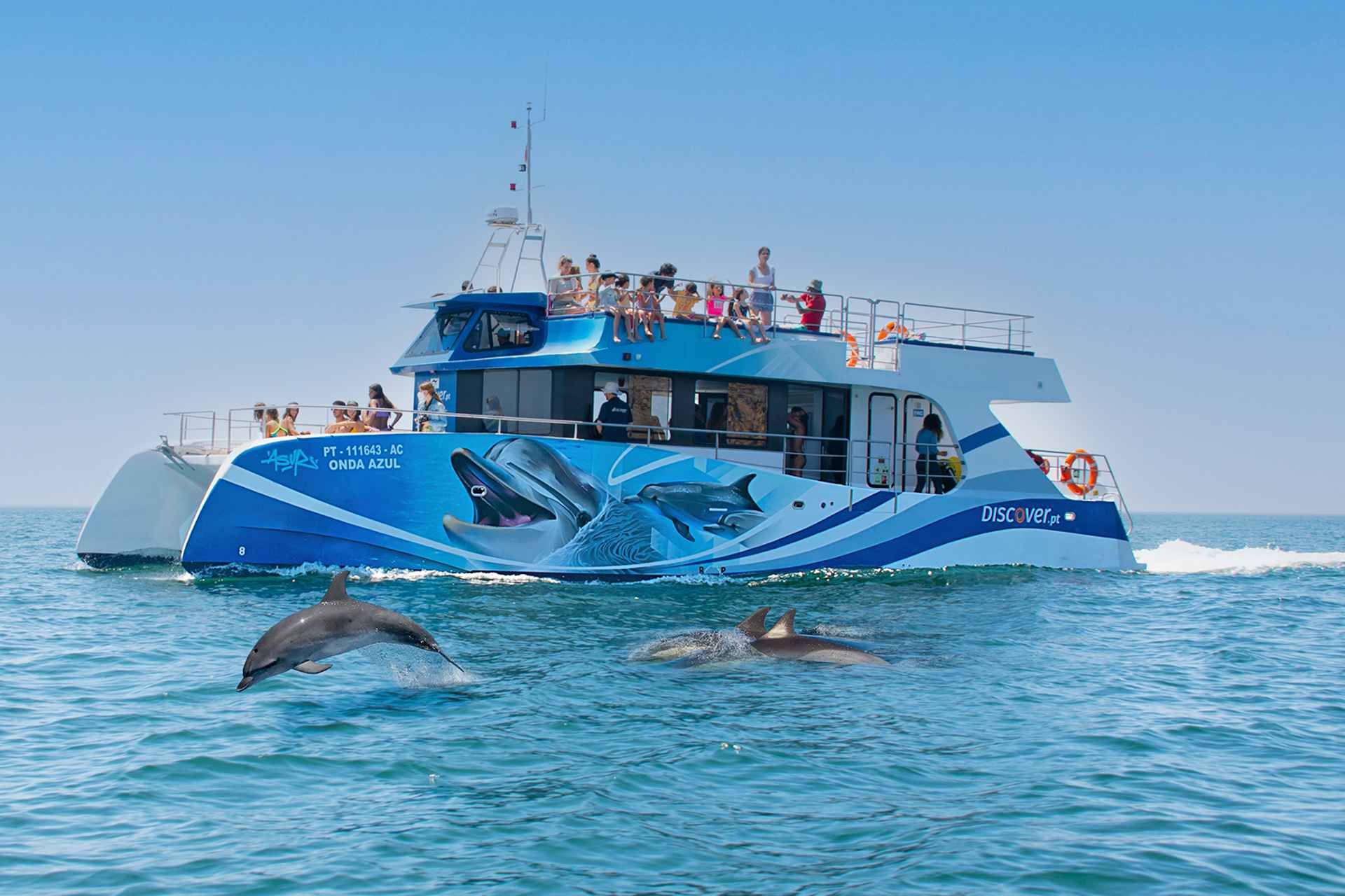 Lagos: Dolphin Watching Half-Day Cruise & Water Activities