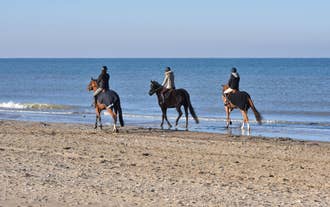 photo of Port of Deauville and city skyline in a sunny summer day, Normandy, France.