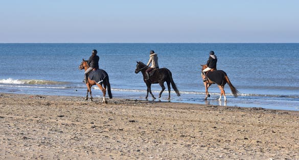 Girls riding horses on the beach of Deauville (France)