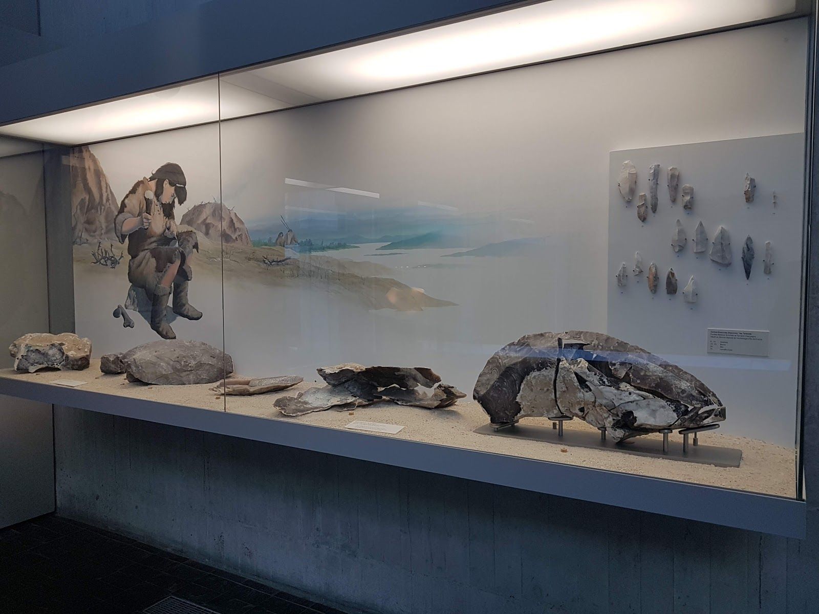 the Ile de France Prehistory Museum, Nemours, Fontainebleau, Seine-et-Marne, Ile-de-France, Metropolitan France, France