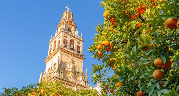 Photo of Giralda and orange tree courtyard, It's the name given to the bell tower of the Cathedral of Santa Maria de la Sede of the city of Seville.