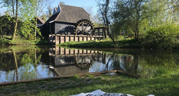 photo of view of park mill water picnic culture landscape summer wood wooden grass home park garden river lake blanket eindhoven netherlands.  