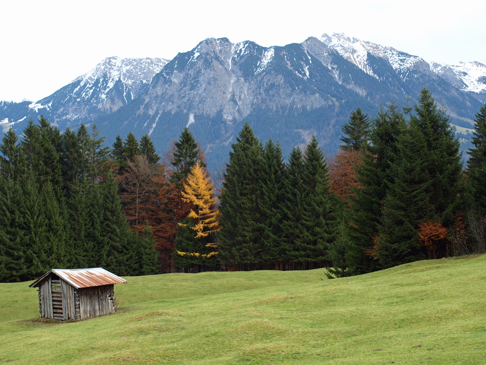 Photo of alps close to the village oberstdorf in germany in the fall with little shed in the front .