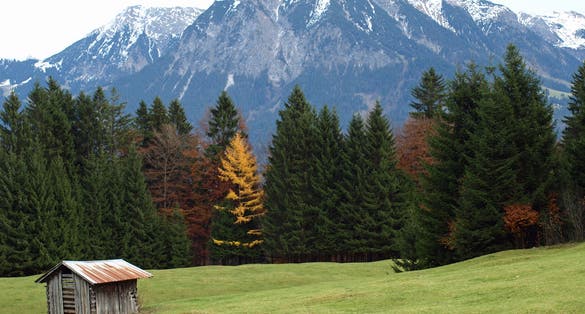Photo of alps close to the village oberstdorf in germany in the fall with little shed in the front .