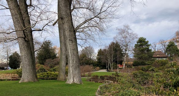 photo of Zürichhorn park in Zürich, Switzerland.