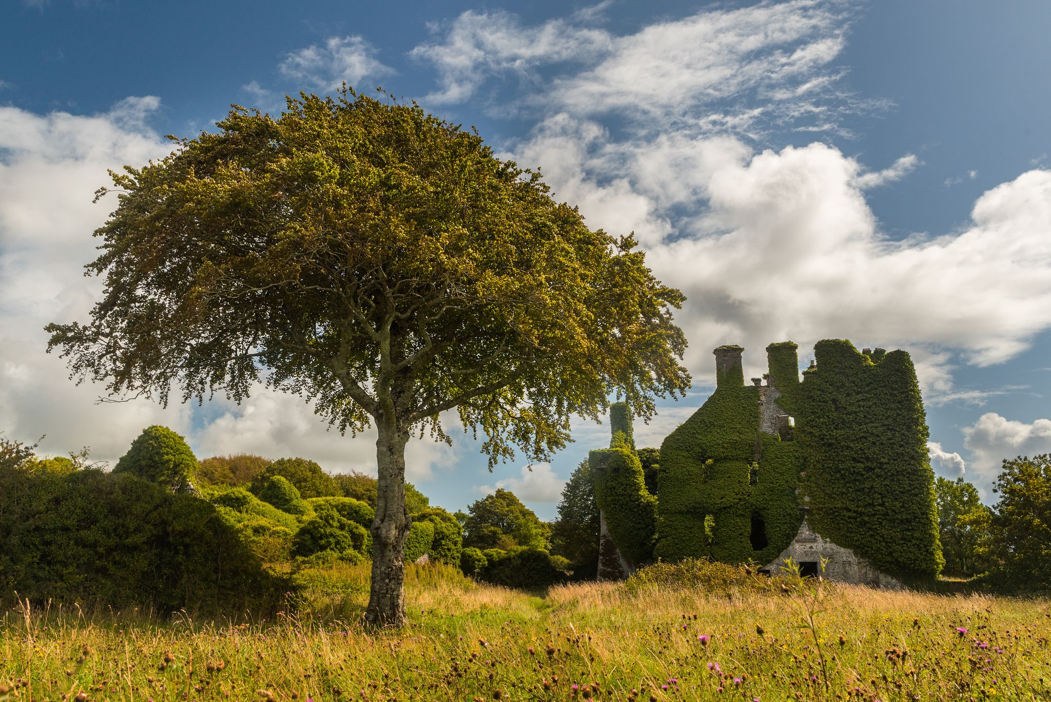 photo of Menlo castle in beautiful Ireland .