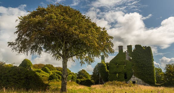 photo of Menlo castle in beautiful Ireland .