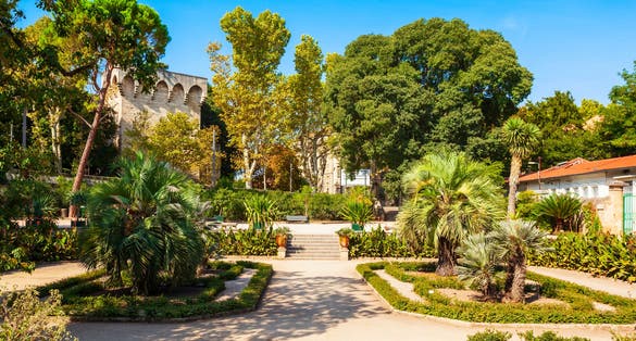 Photo of jardin des plantes de Montpellier is a public botanical garden in Montpellier city, France.