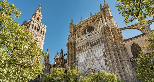 Photo of Seville Cathedral viewed from the Triumph Square, Spain Gorgeous low angle view surrounded with trees.