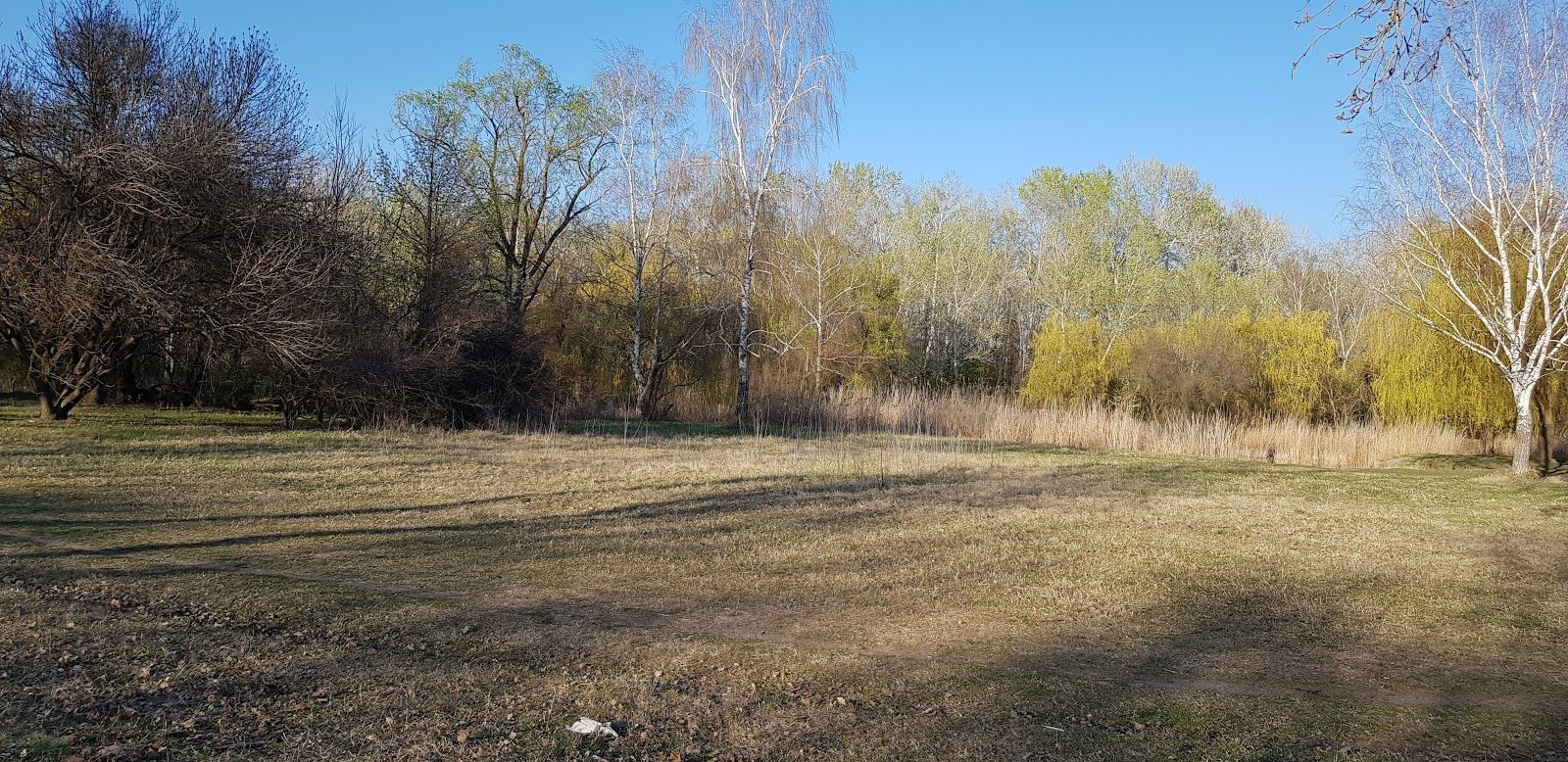 Csalánosi-csatorna, Kecskemét, Kecskeméti járás, Bács-Kiskun, Southern Great Plain, Great Plain and North, Hungary