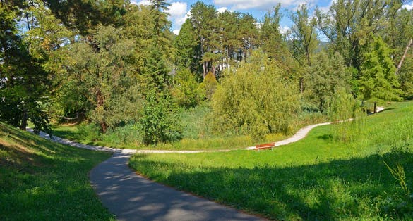 Trees in Borov Gozdicek Borovci Park in the centre of Nova Gorica, Primorska, western Slovenia. Late summer, September