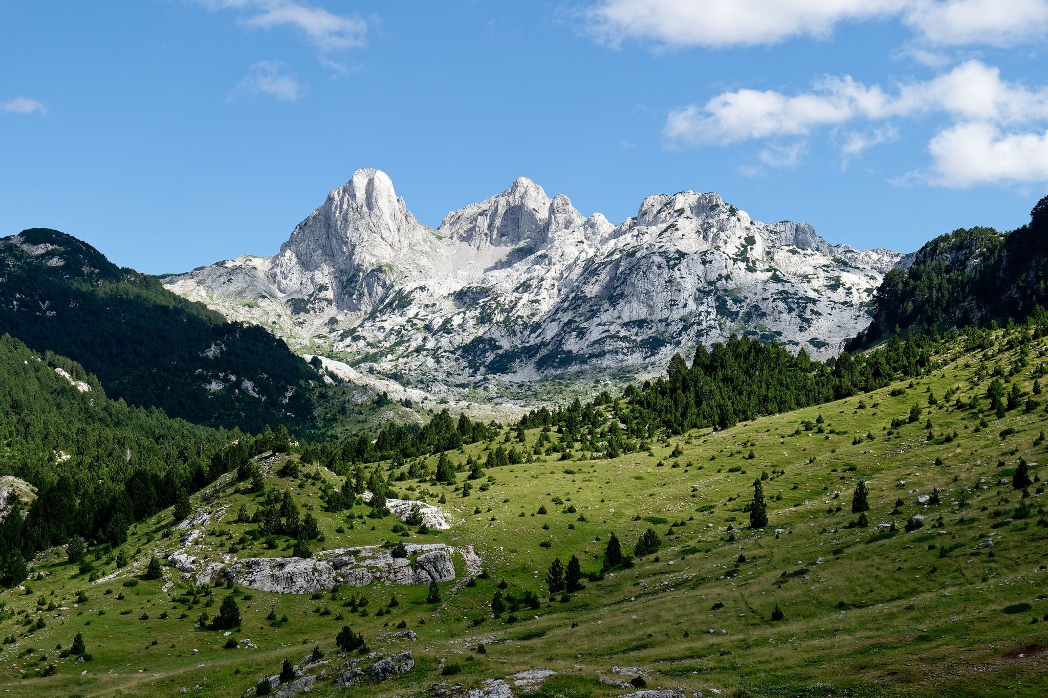 Prenj Mountain 1.jpeg