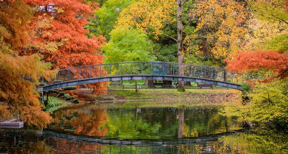 Photo of colored trees and footbridge of the Jardin Public park in Autumn in Bordeaux, France.