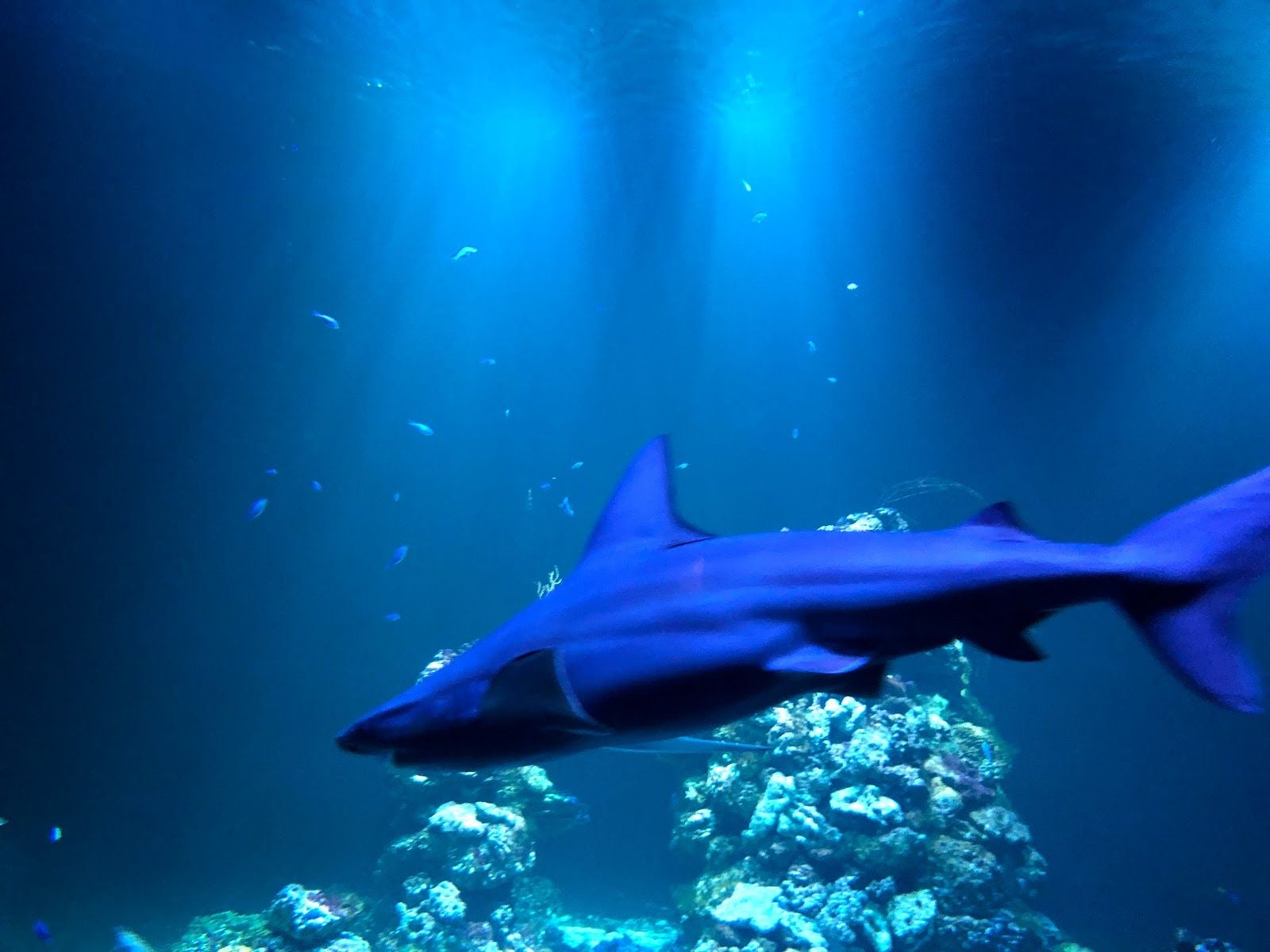 HAGA OCEAN, Solna kommun, Stockholm County, Sweden