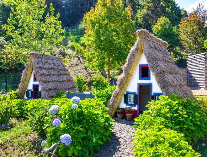 shutterstock_1621090051.jpg
