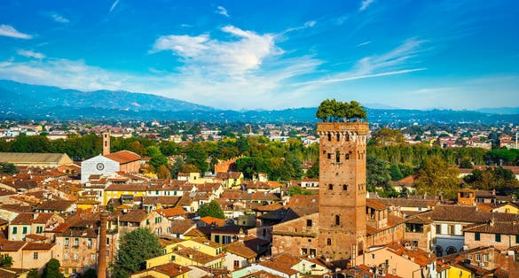 aerial view of city and medieval Guinigi tower and its trees. Tuscany, Italy, Europe.