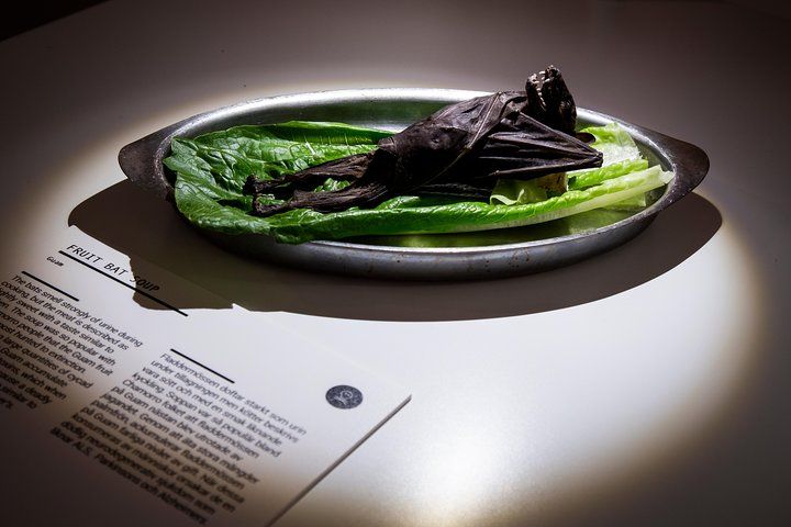 Skip-The-Line Entrance Ticket to Disgusting Food Museum